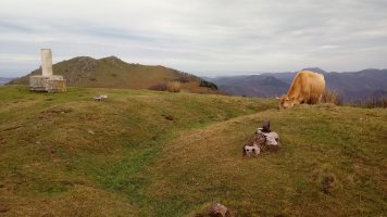 Oindo (785m) tontorra, atzean Adarra mendia