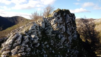 Arriolatz (1176m) tontorra