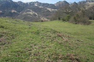 Fondo de Cabaña Santa Cruz Ipar nº 1 (04-2018)