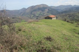 Fondos de Cabaña S. Cruz nº 5 - 6 y 7 (Abril 2018)