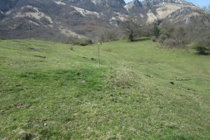 Fondo de Cabaña S. Cruz nº 8  (Abril 2018)