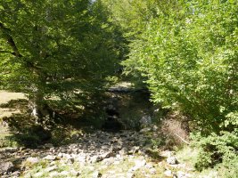 Iturbaltz