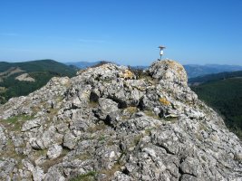 Tontorra