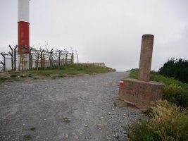 Tontorra