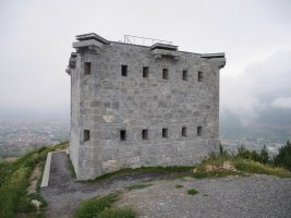 Dorrea
