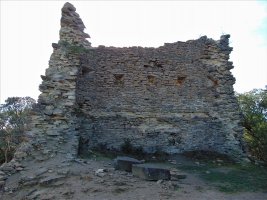 Dorrea