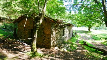 Eberreko bordako txbola