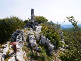 Tontorra