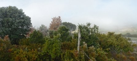 Mendi gainaldea batzuetan itxi egiten da