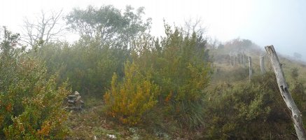 Mendi gailurra