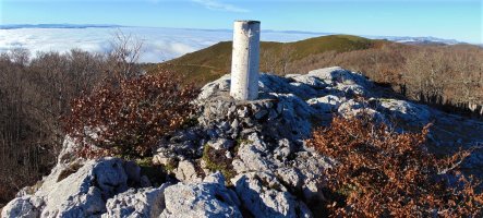 Tontorra