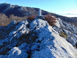Tontorra
