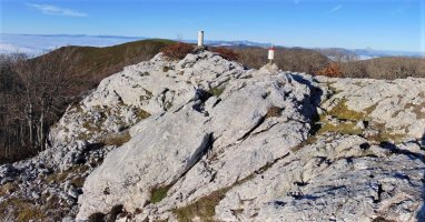 Tontorra
