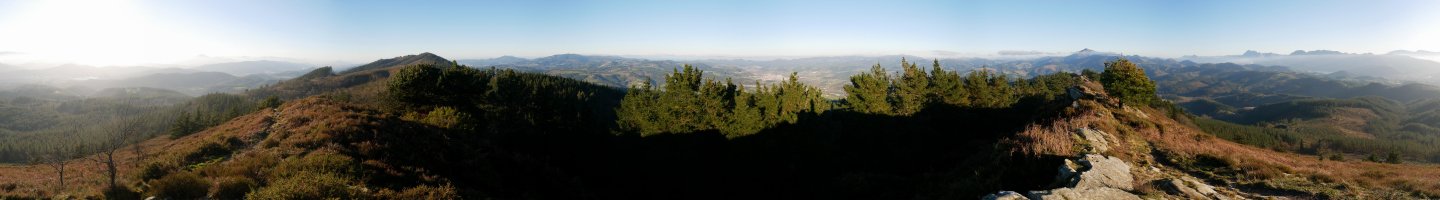 Arburutik 360ºtako ikuspegia