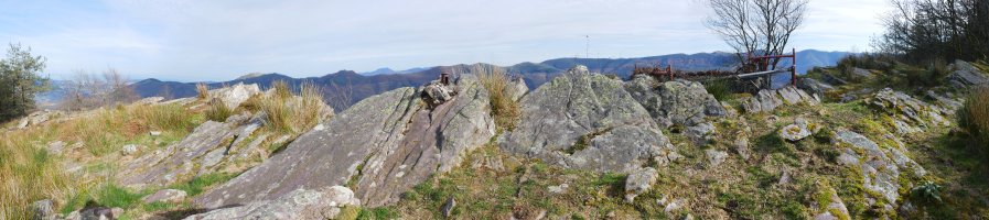 Gailurra, Arnabar