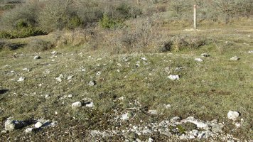 Manzuruturri 1 oeste tumulua, Arraia-Maeztu