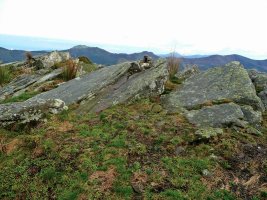 Tontorra