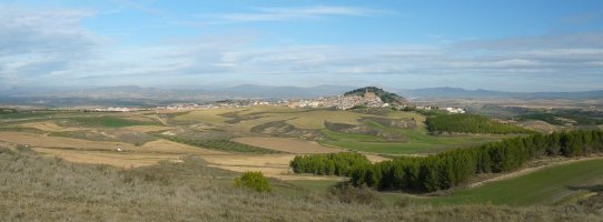 Larraga, Vaquerizatik