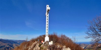 Tontorra