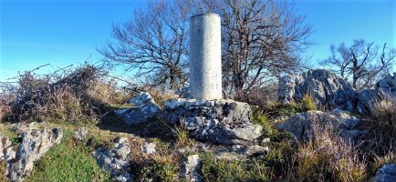 Tontorra