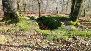 Alkardur (Otzola) trikuharria