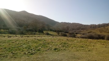 Ernaitzu (1203m) Otsolako landatik