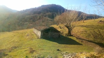 Bidartxoko lepoko borda