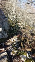 Sancti Spirituko igoera 2