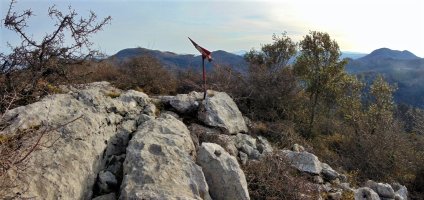 Tontorra