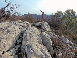 Tontorra