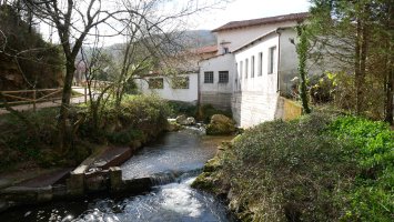 Bidasoro errota, Karrika