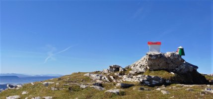 Tontorra