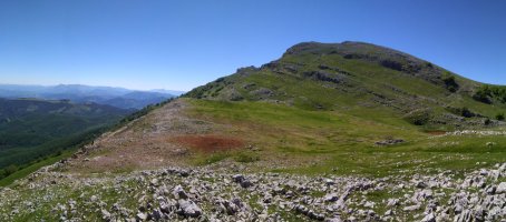 panoramika