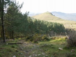 Larreatik Las Llanas de Ubietara jaisten