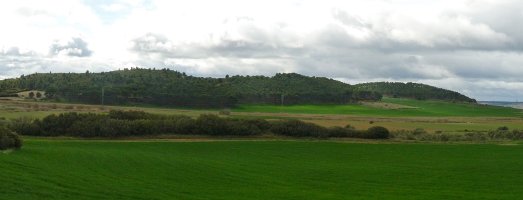 Valmediano