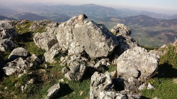 Atxaurrutxugane (979m) tontorra