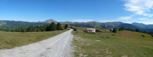 Beullarneta
