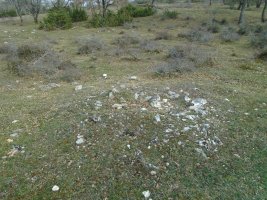 raso de esate- 4