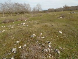 raso de esate- 6