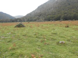 elsarreko ordokia 3