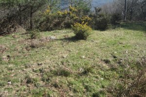 Túmulo Zurbitz  (Marzo 2019)