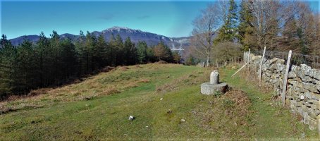 Tontorra