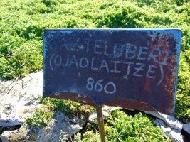 Buzoiko Plaka