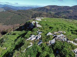 Tontorra