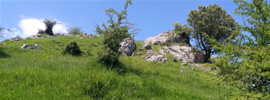 Iramendiko Punta