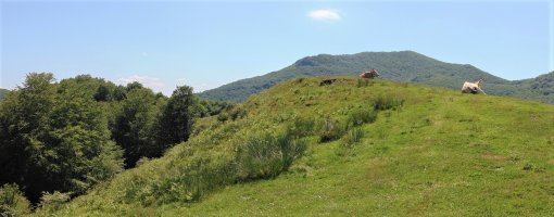 Tontorra