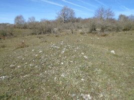 manzuruturri 4
