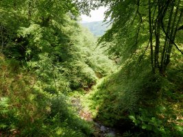 Belaustegi ur-jauzitik gertu