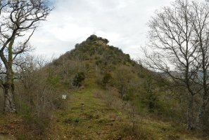 Arikomendi