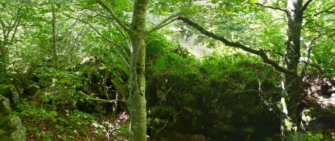 Lazkuetako gailurra